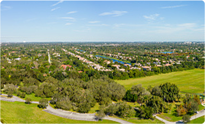 Davie skyline