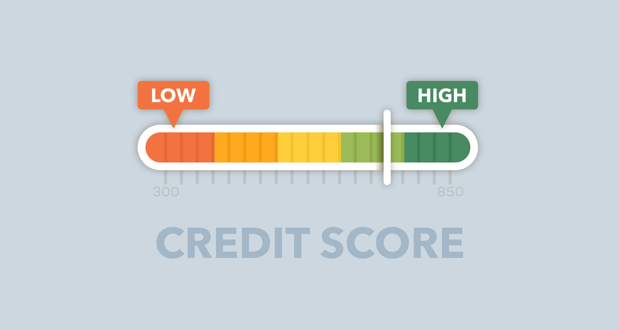 Which business loan is right for you